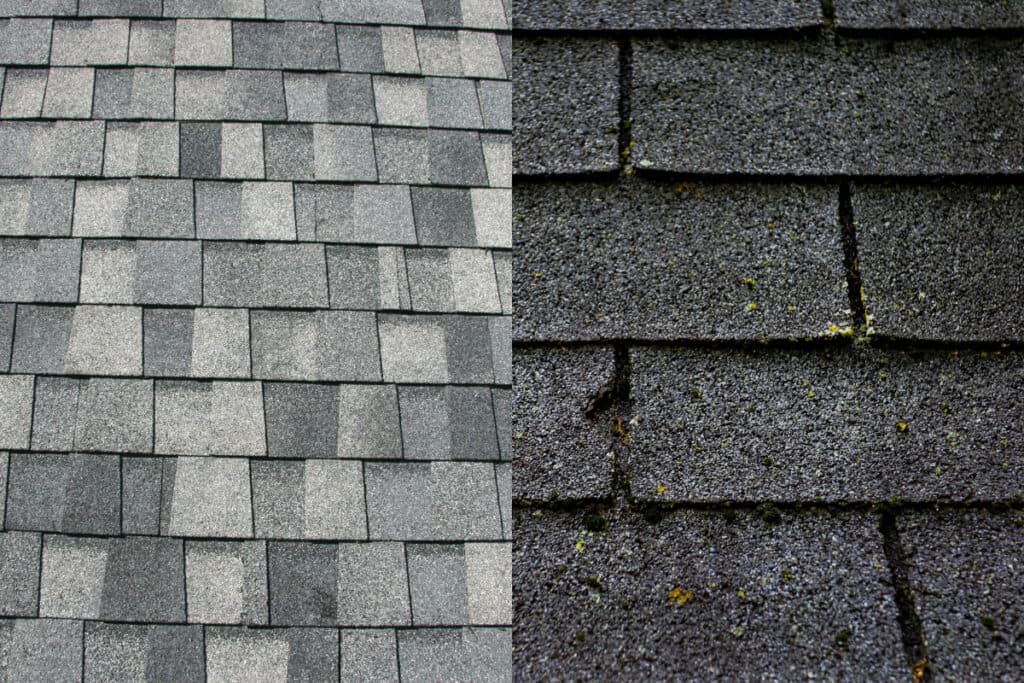 Roof Lifespan in Different Regions: Impact of Climate from Hurricane Alley to The Frozen Tundra | DroneQuote